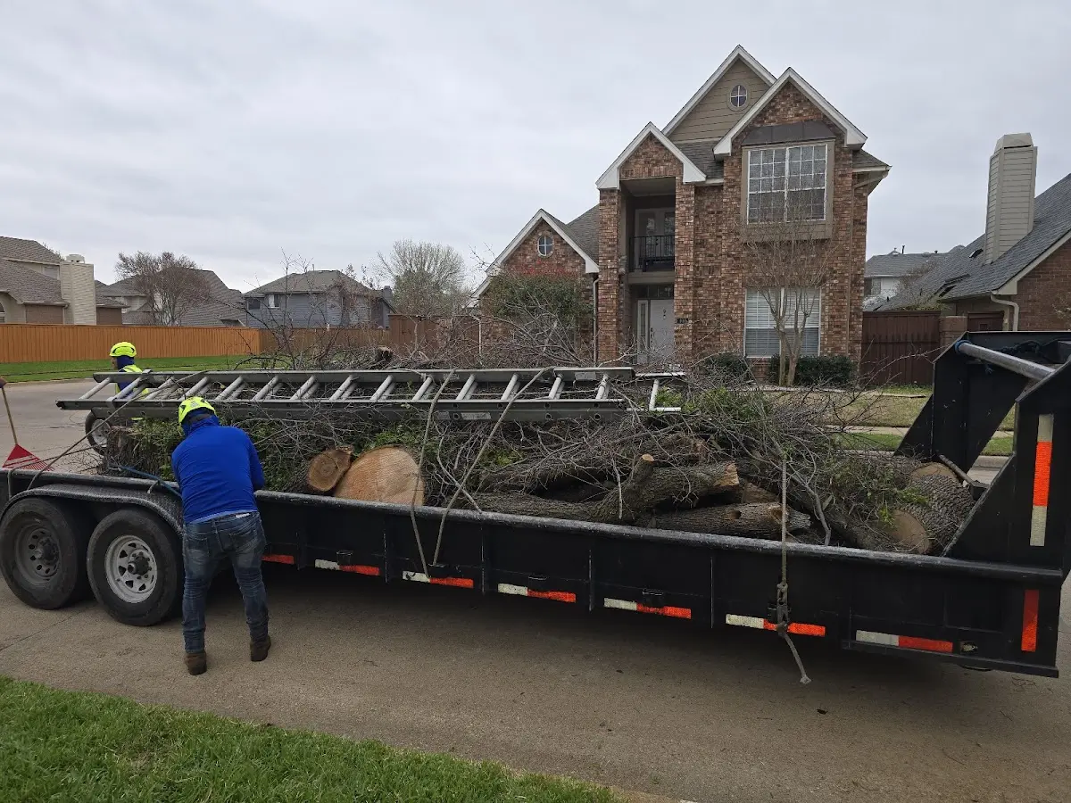 Expert Tree Fertilization with proper safety equipment in Rochelle
